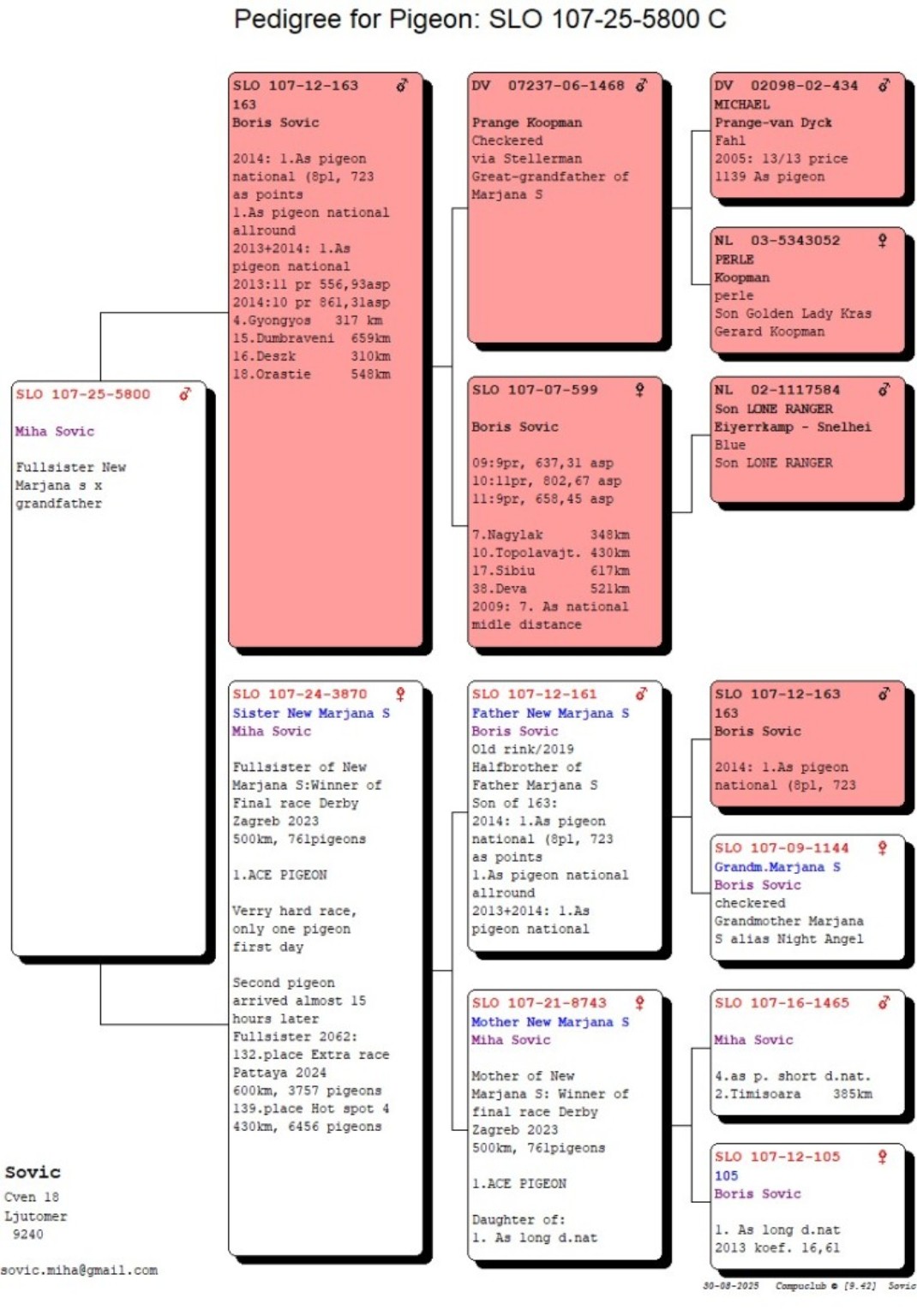 Full pedigree for SLO 107-25-5800